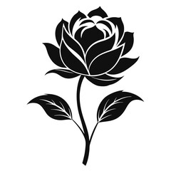 Elegant Black Rose, Detailed Blossom, Stem and Leaves, Isolated on White Background