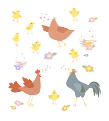 Farm and domestic animals, birds. Vector set of chicken family: cock, hens, chicks, eggs, chicken coop, flowers and grass. Illustration on white background. isolated.