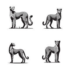 "Standing Cheetah Silhouette in Black and White"
"Elegant Cheetah Vector Illustration - Standing Pose"
"Stylized Cheetah Silhouette - Proud Stance"