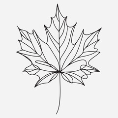 Maple leaf line art One continuous line drawing abstract tropic spring isolated vector