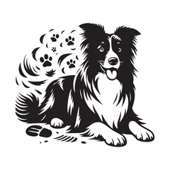 Border Collie Dog Vector Silhouette, Intelligent Herding Canine Outline, Pet Lover Clipart, Active Dog Art for Logos, Stickers, Apparel, Digital Prints, Crafts, and Posters.