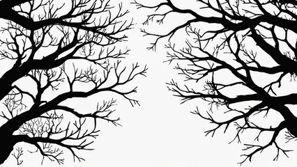 Fototapeta premium A pair of trees in black and white photography