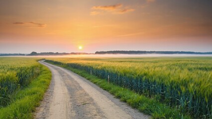 Fototapeta premium A rural dirt road surrounded by lush green grass and perhaps awaiting for some adventure or travel