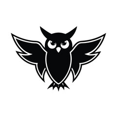 Obraz premium owl on white background