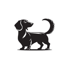 Dachshund Dog Vector Silhouette, Unique Long Body Canine Outline, Pet Lover Clipart, Playful Dog Art for Logos, Stickers, Apparel, Digital Prints, Crafts, and Posters.