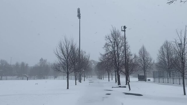 Spring snowfall in Montreal 