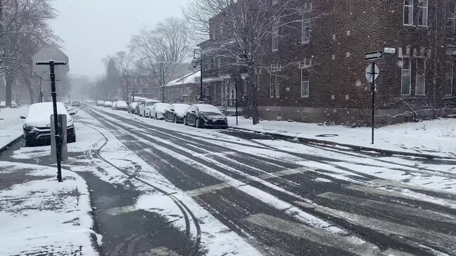Spring snowfall in Montreal 