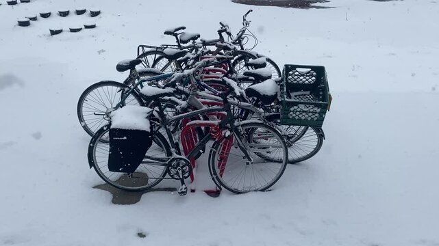 Spring snowfall in Montreal 