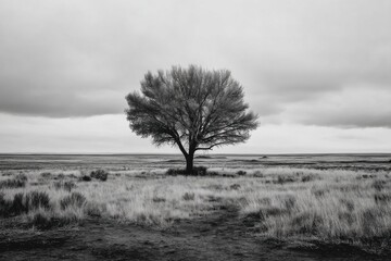 Fototapeta premium Monochrome landscape featuring a solitary tree standing in a field under a cloudy sky, creating a serene and peaceful atmosphere in a rural environment.
