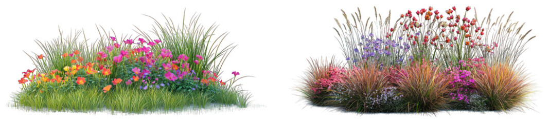 Colorful wildflower and grass landscaping elements isolated