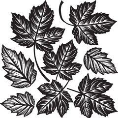 Sycamore leaf silhouette vector art illustration file