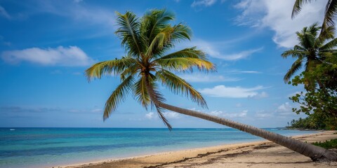 Fototapeta premium Tropical beach with leaning palm under a bright blue sky.