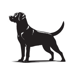 Labrador Retriever Dog Vector Silhouette, Friendly Loyal Canine Outline, Active Dog Art for Pet Lovers, Logos, Stickers, Apparel, Digital Prints, Crafts, and Posters.