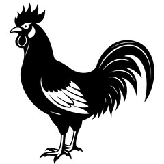 rooster isolated on white