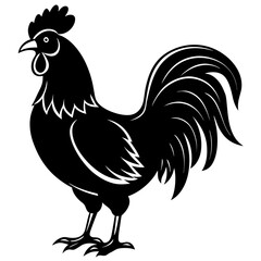 rooster isolated on white