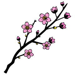 branch of cherry tree