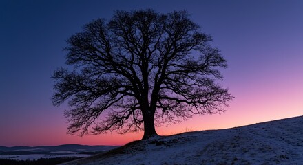 sunset in the mountains