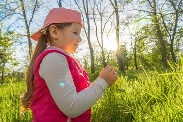 A girl sits in the thick green grass and holds a dandelion in her hands against the background of the sunset. Walk outdoors in the city park
