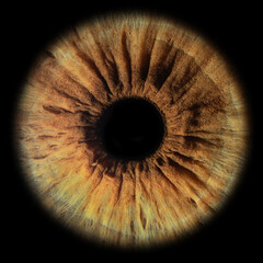 close up of an eye