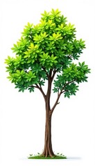 Obraz premium Simple, isolated branches on white background, tree, leafy