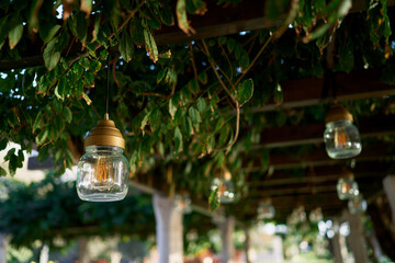 Lamps in glass jars hang from pergola beams in a green garden