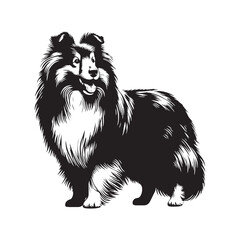 Shetland Sheepdog Vector Silhouette, Elegant Herding Canine Outline, Loyal Pet Lover Clipart, Active Dog Art for Logos, Stickers, Apparel, Digital Prints, Crafts, and Posters.