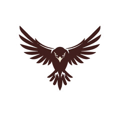 Obraz premium Majestic Hawk Soaring with Wings Spread