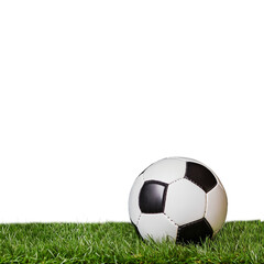 Fototapeta premium Black and white soccer ball sitting on grass, positioned on a transparent background