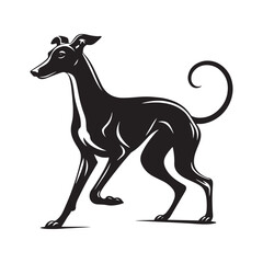 Whippet Dog Vector Silhouette, Sleek Canine Outline, Elegant Speedster Art for Pet Lovers, Logos, Stickers, Apparel, Digital Prints, Crafts, and Posters.