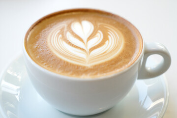 Minimalist Cappuccino Presentation with Milk Foam Design