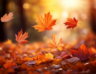 autumn leaves background
