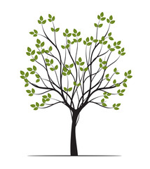 Obraz premium Shape of green Tree with Leaves. Vector outline Illustration.