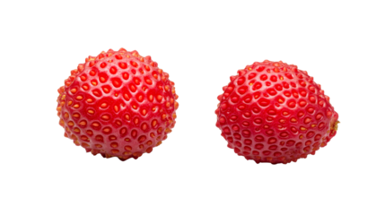 Two ripe wild strawberries close up, cut out transparent