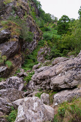 A rocky mountain path with trees on either side