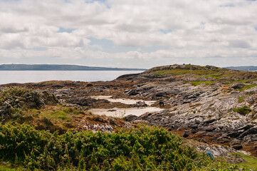 A rocky shoreline with a few small ponds and a few cows grazing