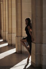 A poised ballet dancer in a sheer black dress stands en pointe against a stone column, bathed in...