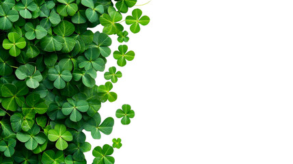 Bright shamrocks arrangement on black background, cut out transparent