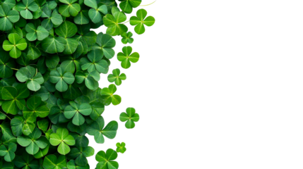 Bright shamrocks arrangement on black background, cut out transparent