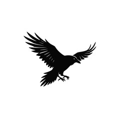 Obraz premium Silhouette of a raven in flight with wings spread