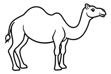 Fototapeta premium coloring Camel outline vector illustration and ready for print.
