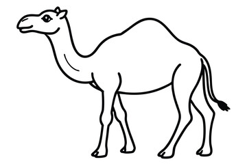  coloring Camel outline vector illustration and ready for print.