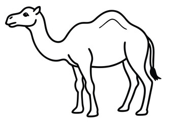  coloring Camel outline vector illustration and ready for print.