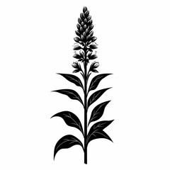 Botanical Illustration: Black and White Lupine Silhouette &ndash; Vintage Floral Design Element for Nature-Inspired Presentations