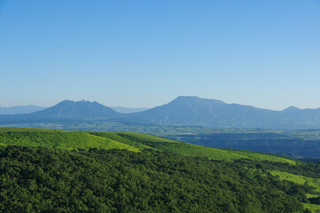 Fototapeta premium 夏の高原