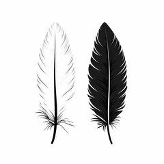 Elegant Black and White Feather Vector Illustration: Minimalist Monochrome Art for Nature-Themed Crafting and Fashion