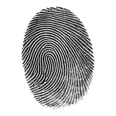 Isolated close up of a fingerprint in black ink on a clean white background