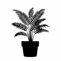 Silhouette of Vibrant Fern Houseplant in Pot: Aesthetic Indoor Botanical Decor for Home Elegance