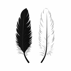 Abstract Black and White Feather Illustration: Minimalist Nature Art and Design