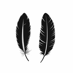 Vector Black Feather Illustration: Stylish Gothic Nature-Inspired Art Drawing