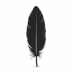 Black Feather Vector Illustration: Abstract Graphic Design with Ink Pen and Silhouette